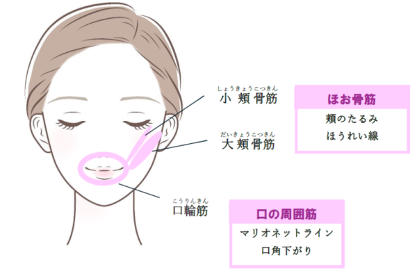 フェイスラインタルミ防止・老け顔脱却